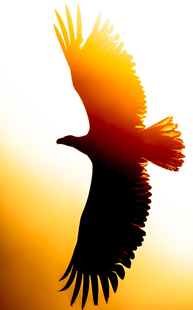 Photograph by Кобец Дмитрий