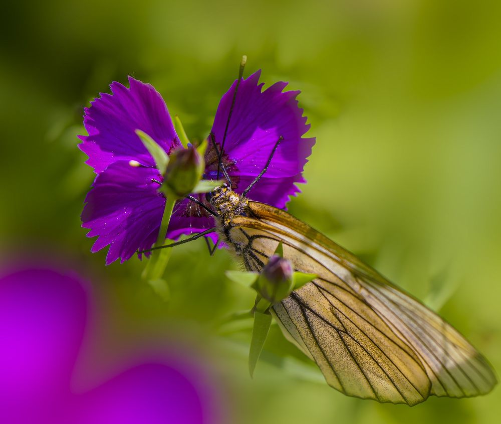 Photograph by Ольга Блохина