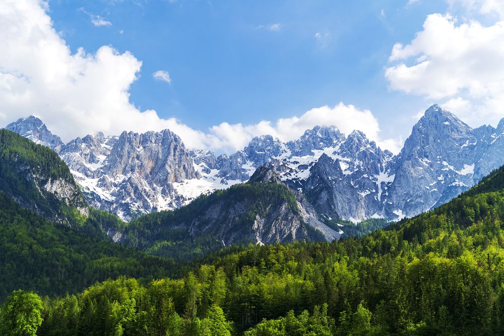 Photograph by Ksenija Planinc Kiridžiev