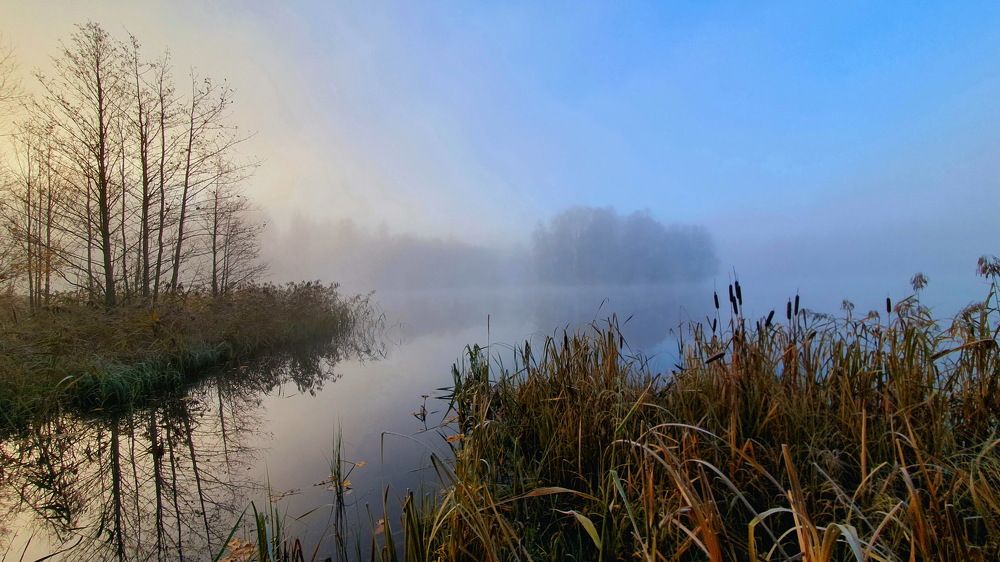 Фотография автора Сергей Скворцов