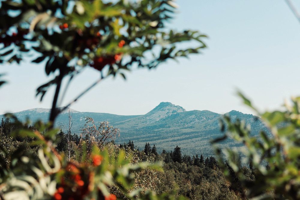 Photograph by Елена Демина