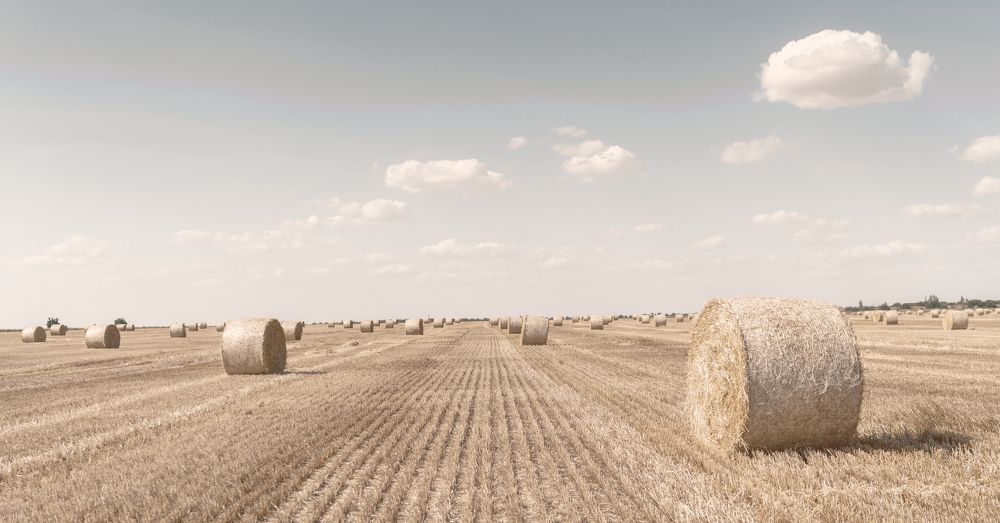 Фотография автора Igor Kovalenko