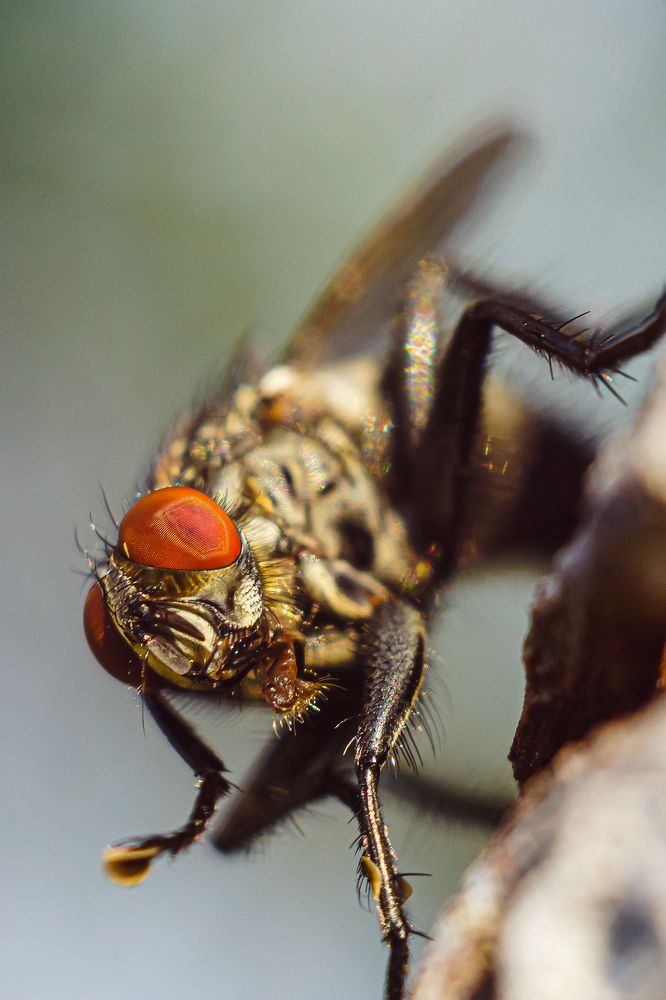 Photograph by Александр Казак