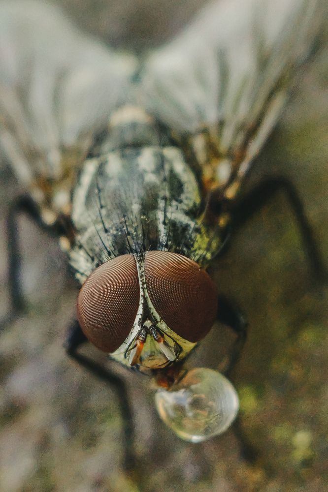 Photograph by Александр Казак