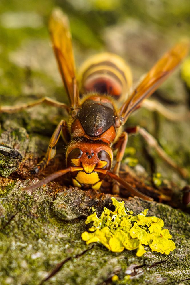 Photograph by Александр Казак