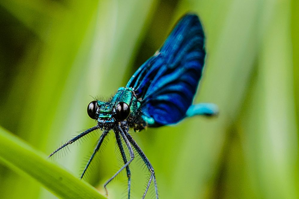 Photograph by Александр Казак