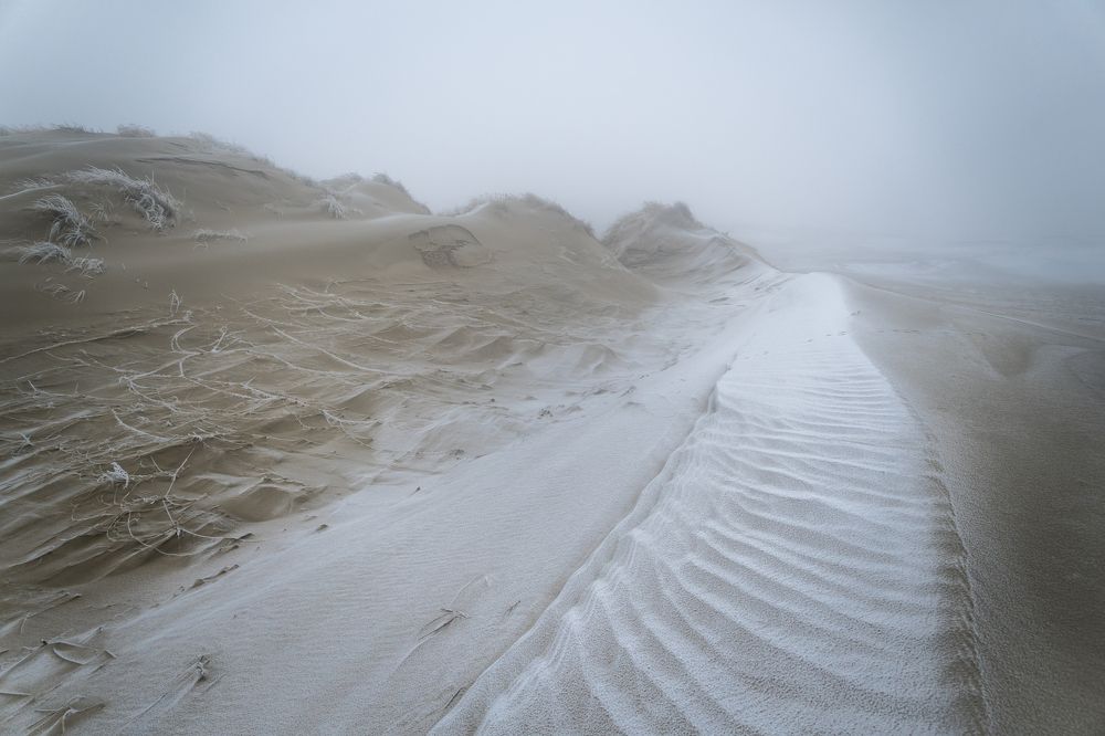 Photograph by Татьяна Рутковская