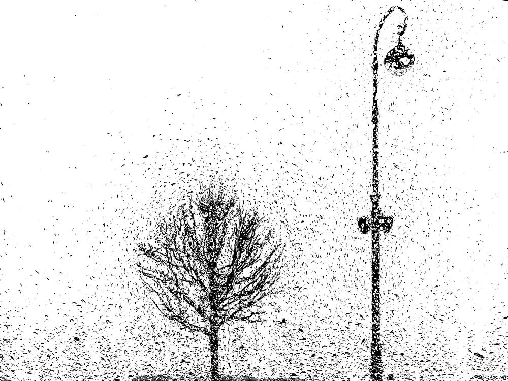 Photograph by Марина Хохрякова