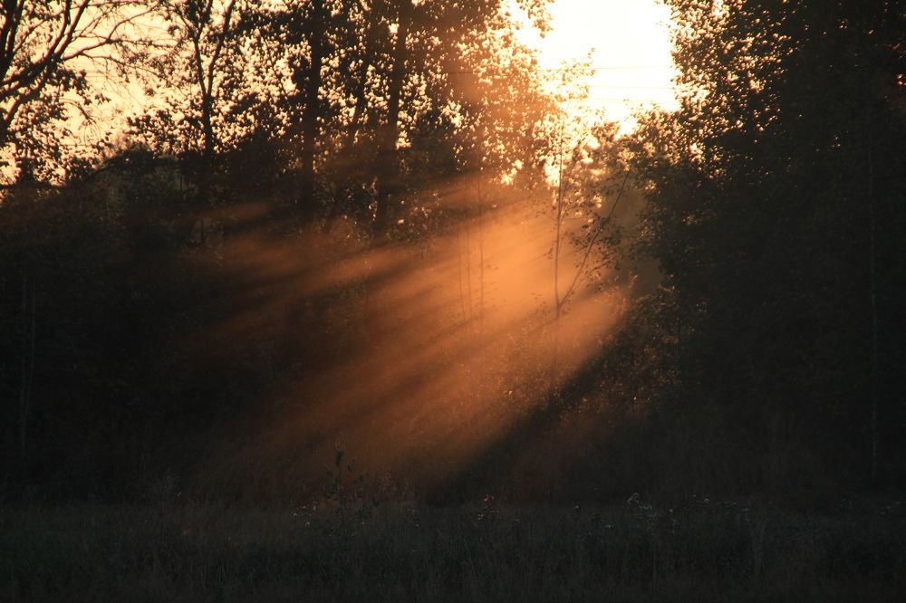 Фотография автора Анастасия Зверева
