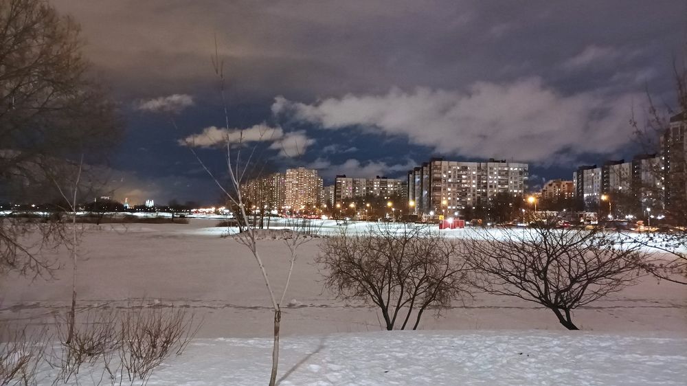 Photo #7272876
