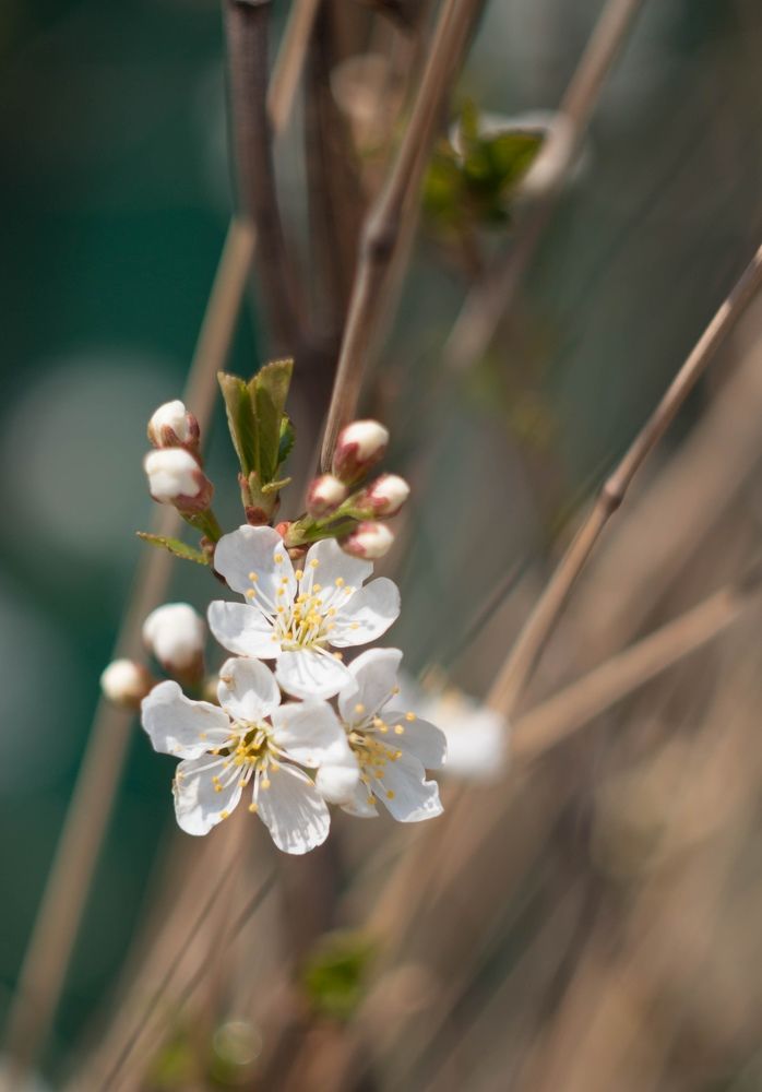 Photograph by Яна Соболева