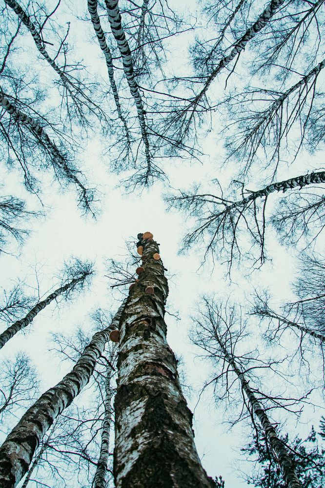 Photograph by Арина Сучкова