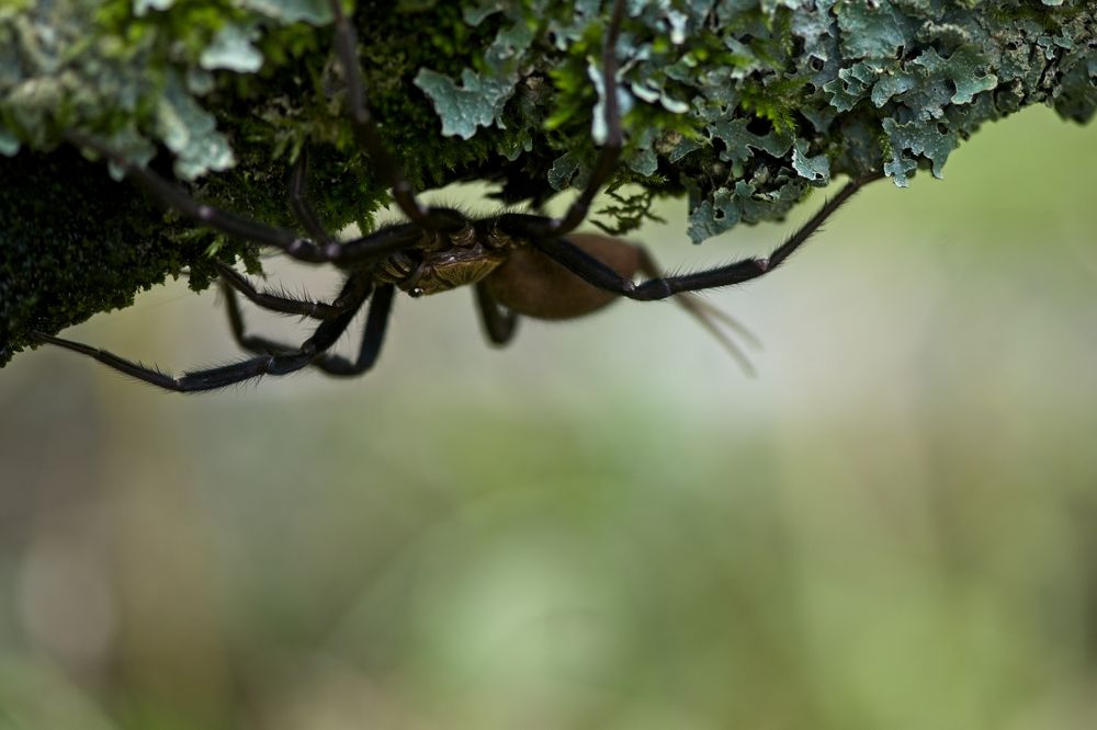 Photograph by Juraj Benčík