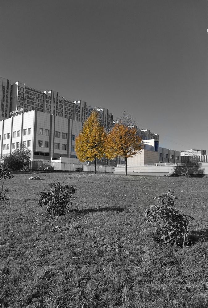 Photograph by Власова Ольга Николаевна