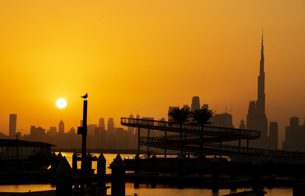 Photograph by mohanan oruvayalil