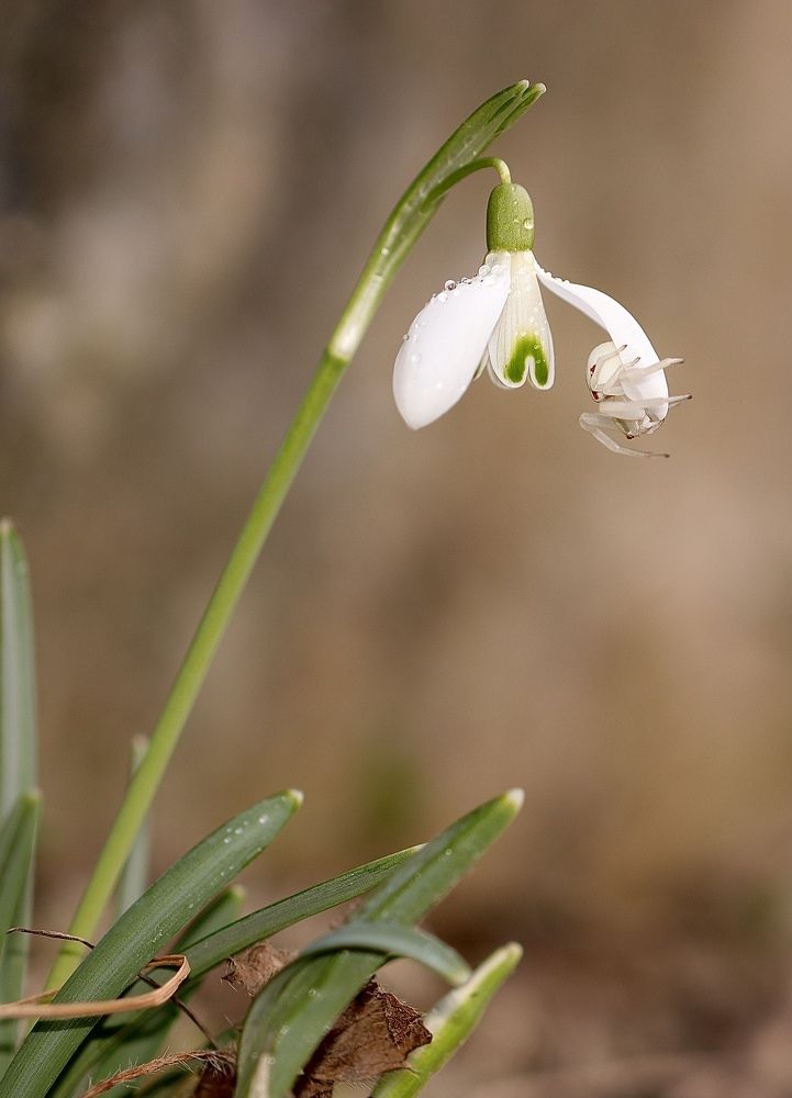 Photograph by Малика Маткарим