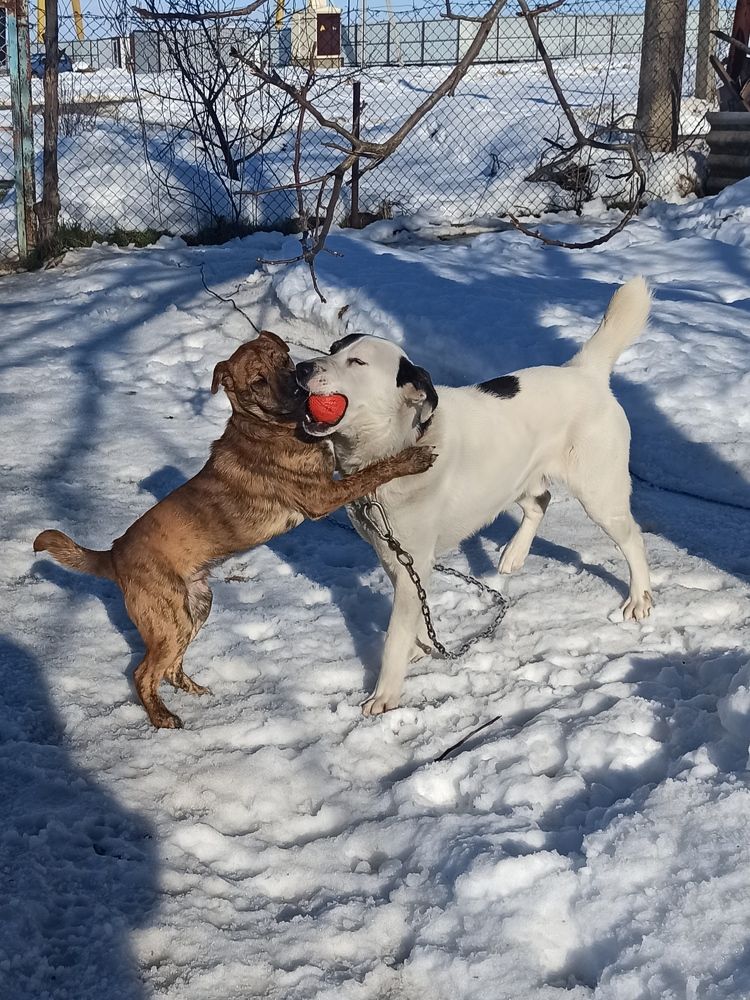 Фотография автора Татьяна Долгушева