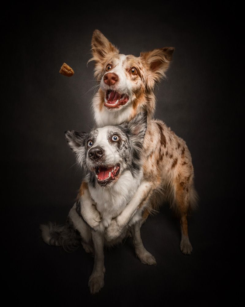 Photograph by Vladimir Smaženka