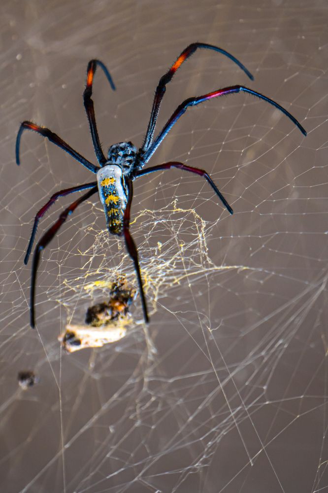 Photograph by Иван Кудряшов