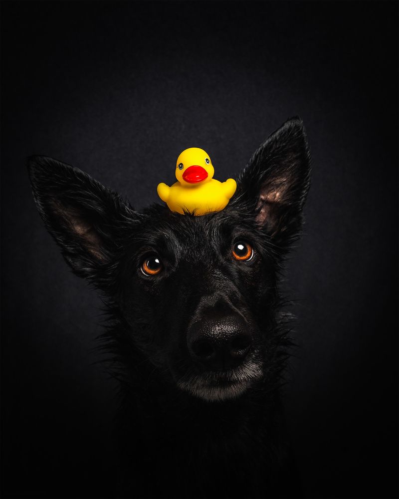 Photograph by Vladimir Smaženka