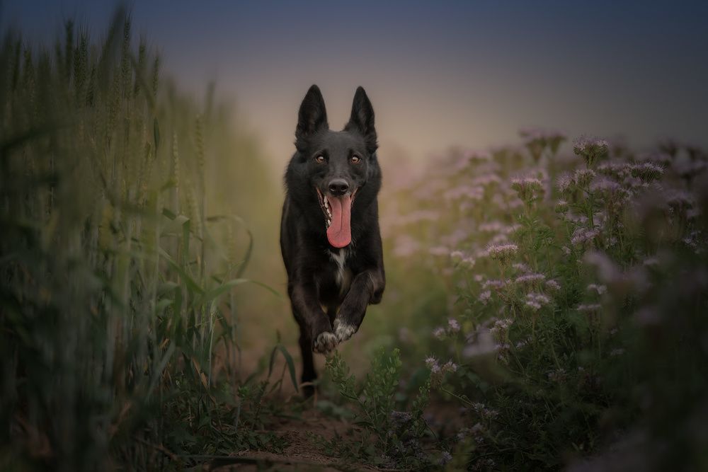 Photograph by Vladimir Smaženka