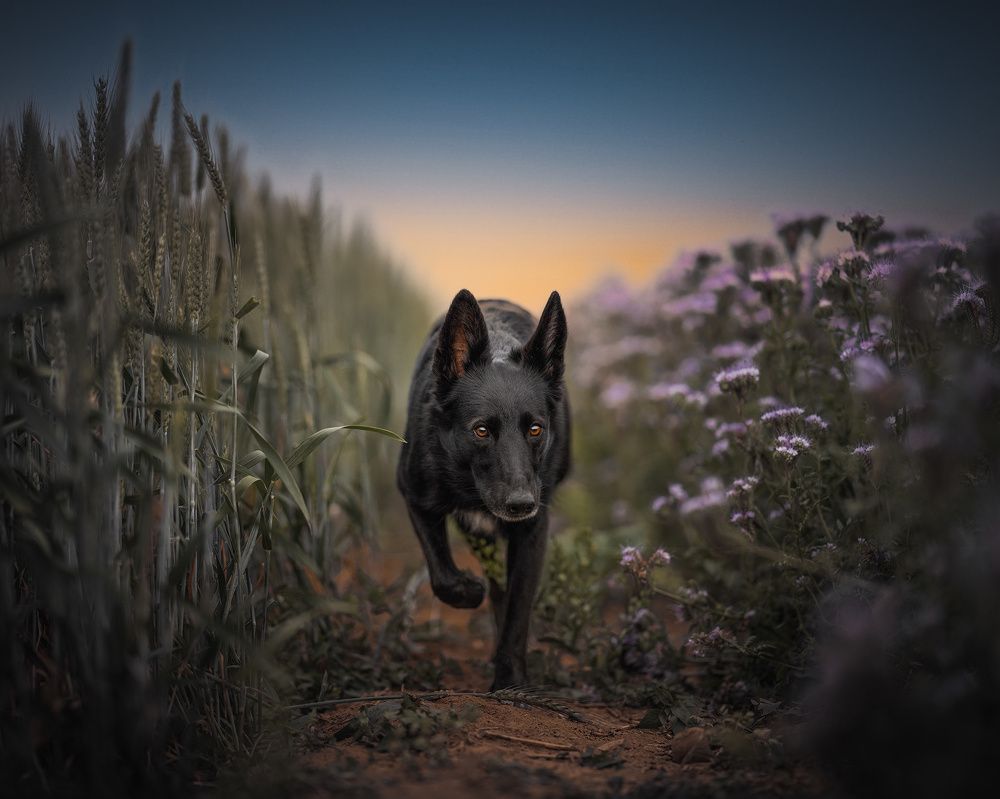 Photograph by Vladimir Smaženka