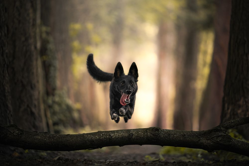 Photograph by Vladimir Smaženka