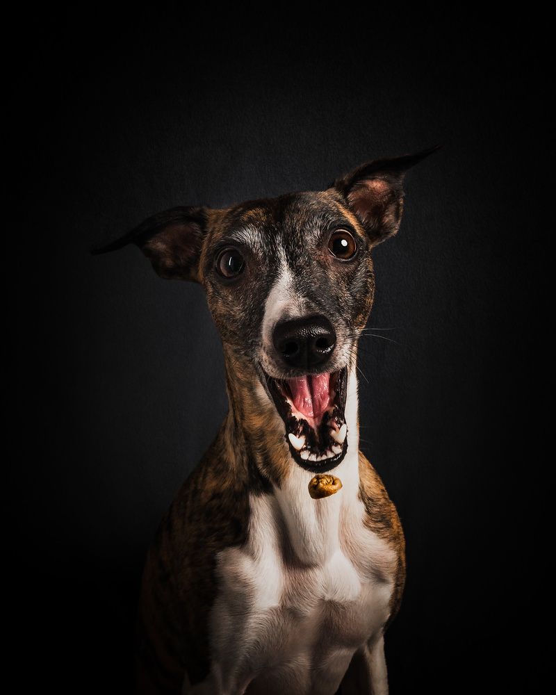 Photograph by Vladimir Smaženka