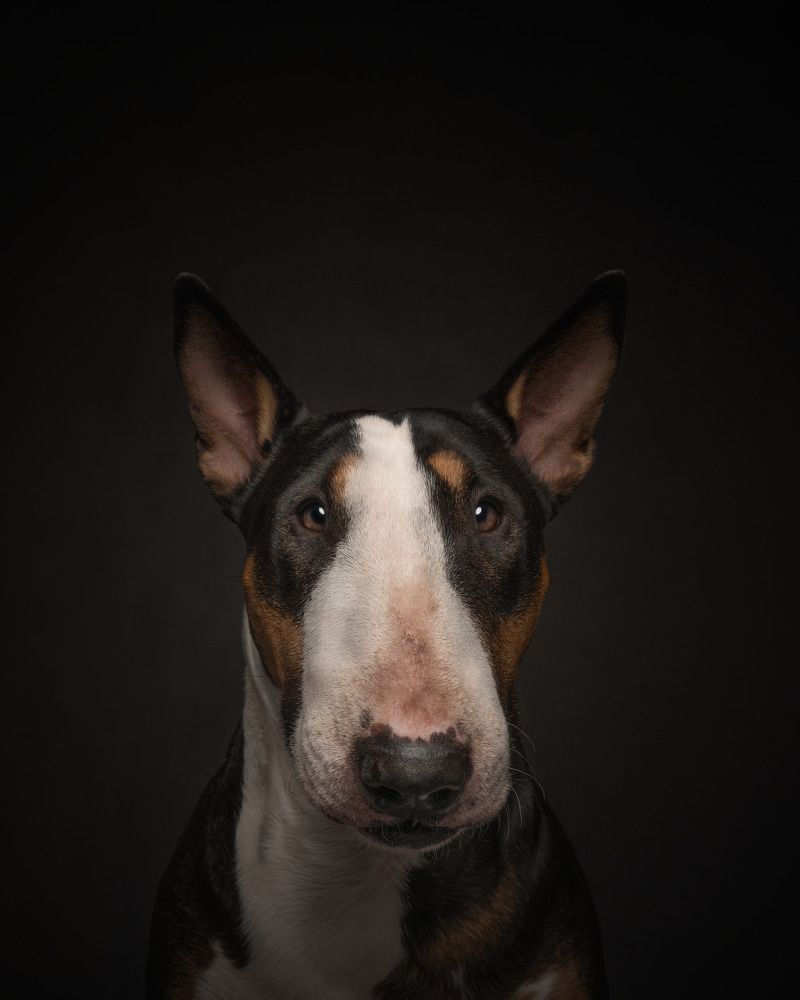 Photograph by Vladimir Smaženka