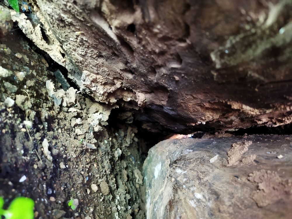 Фотография автора MEVIN