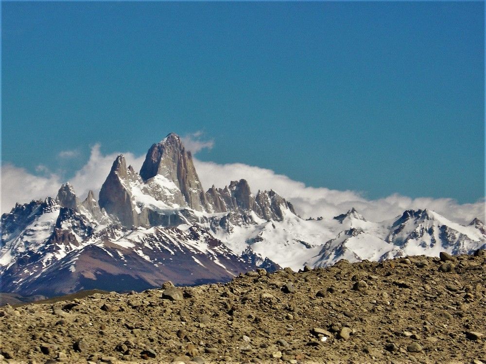 Фотография автора OSMIR ZANETTE