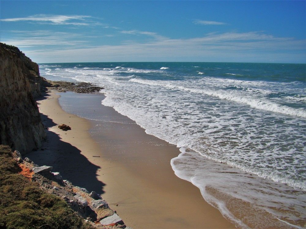 Фотография автора OSMIR ZANETTE