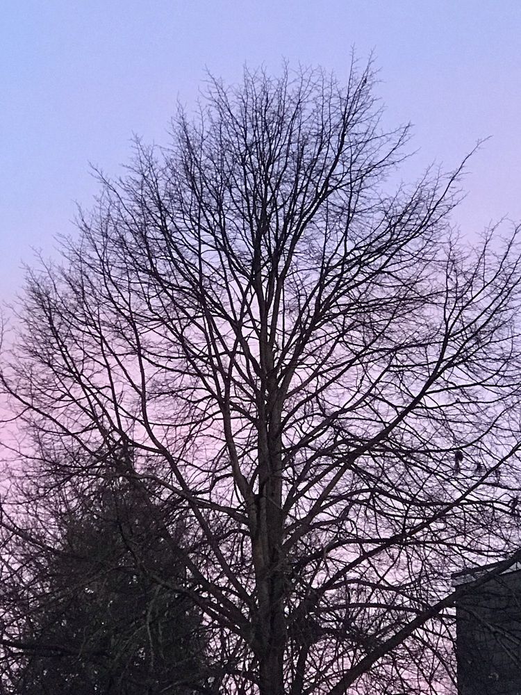 Photograph by Edward Arnold