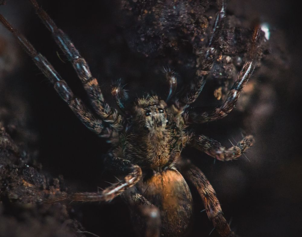 Photograph by Сервер Халилов