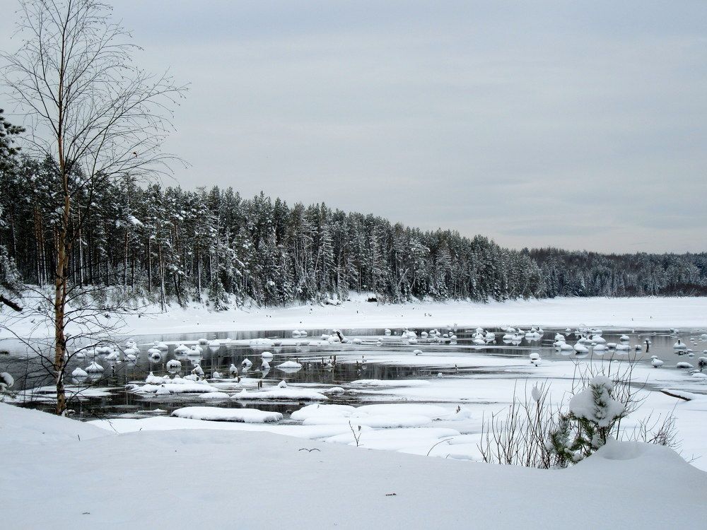 Photograph by Ирина Осипова