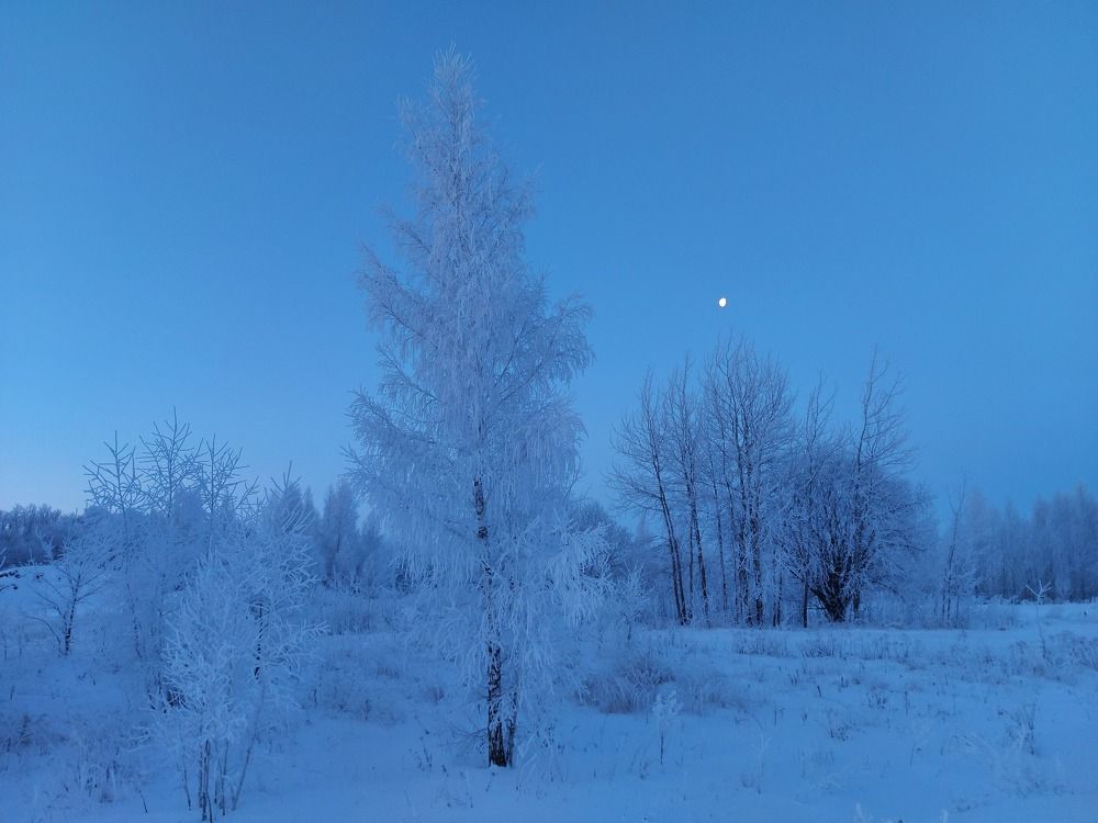 Февральская прогулка