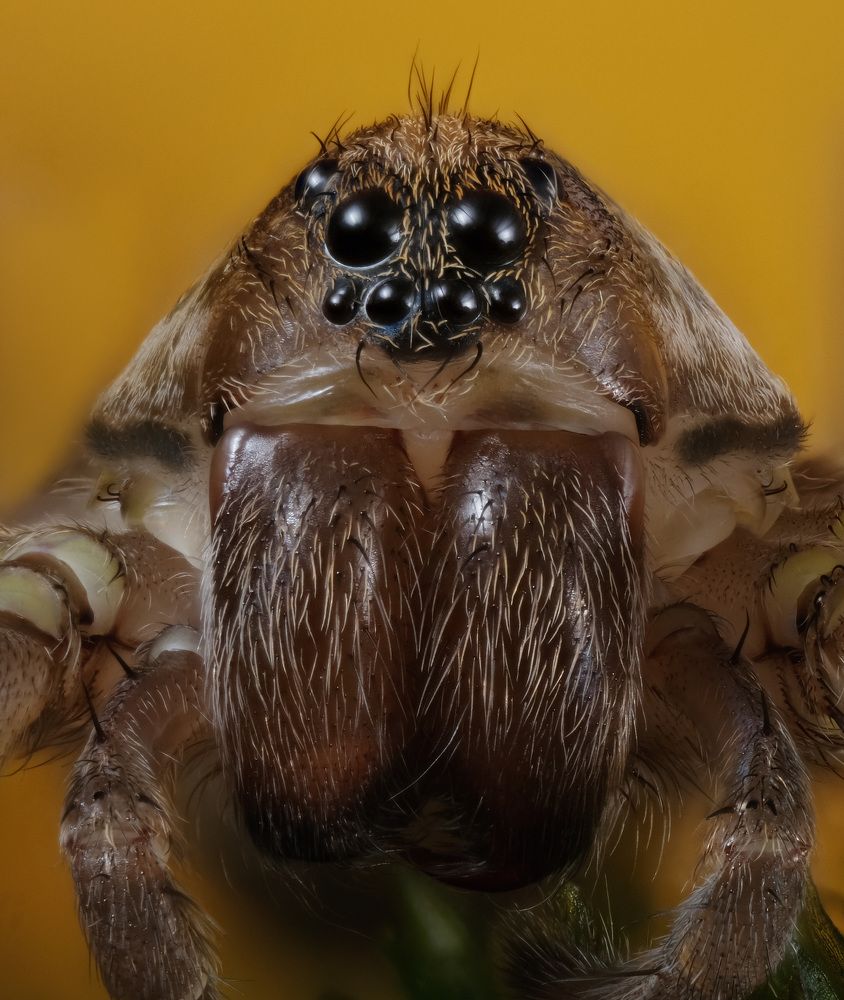 Photograph by Юрьевич Юрий