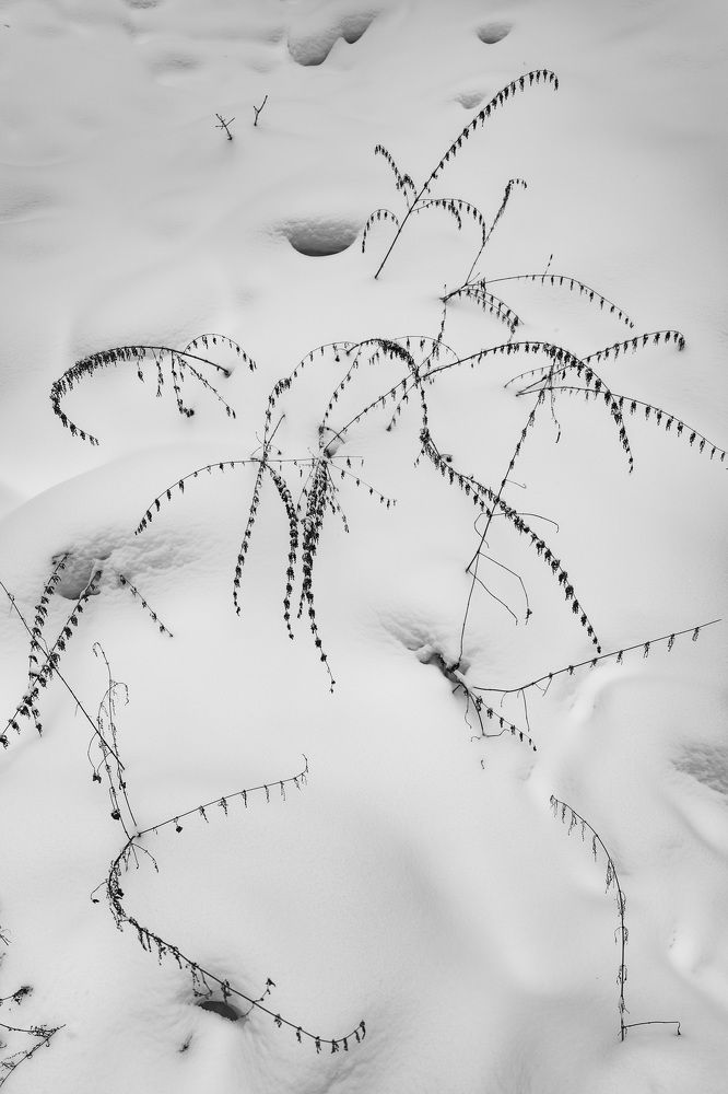 Photograph by Егор Зубанов