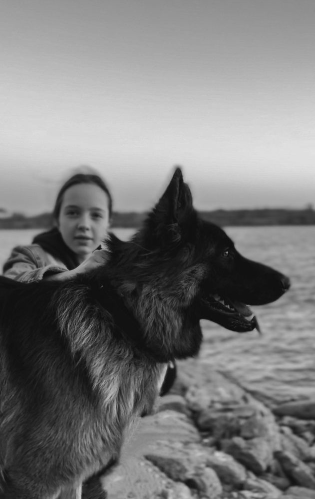 Photograph by Анастасия Денисенко