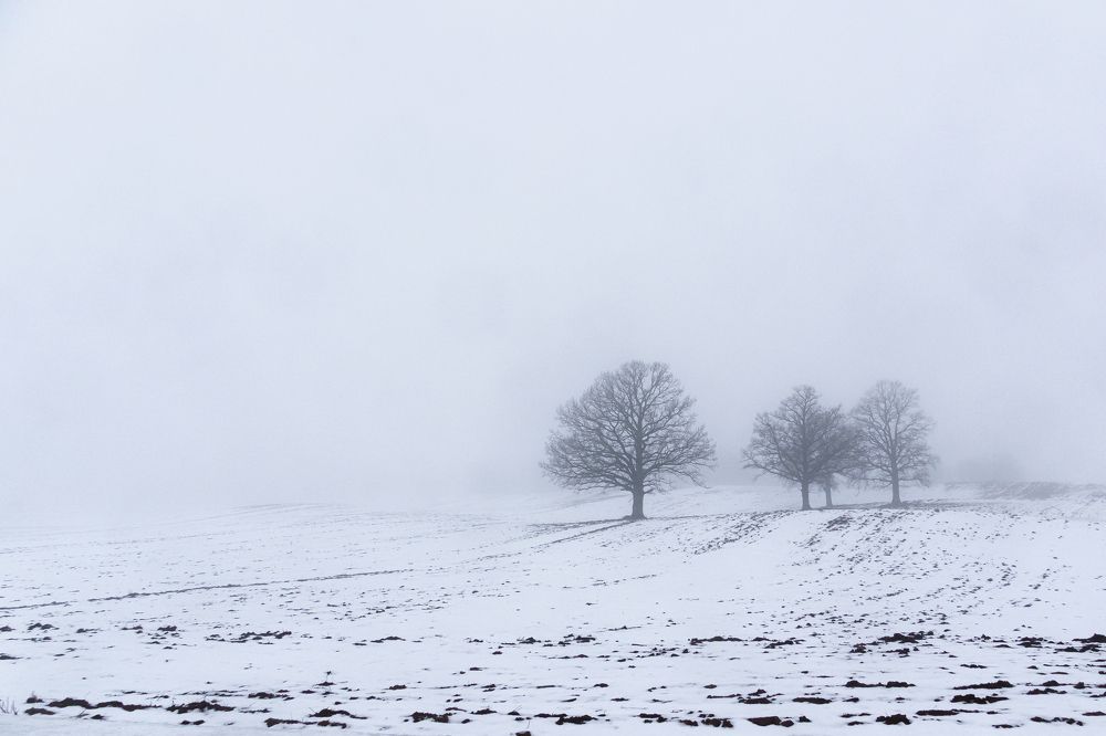 Photograph by Valdis Serzhans