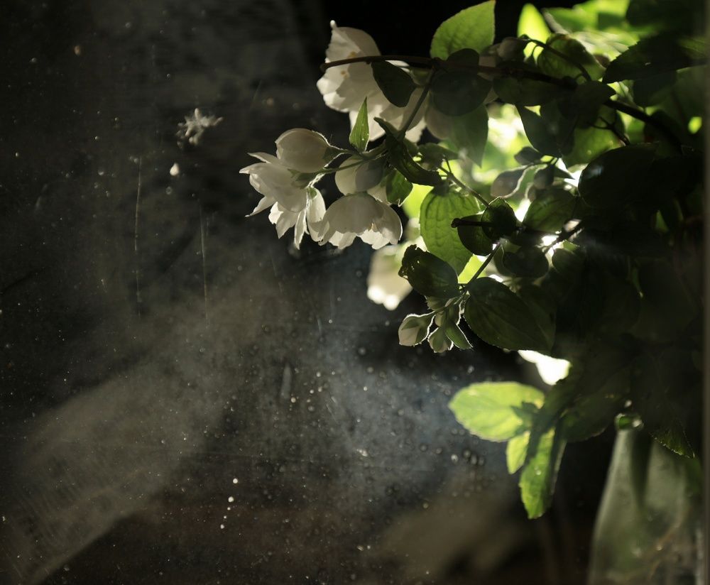 Photograph by Елена Измакова