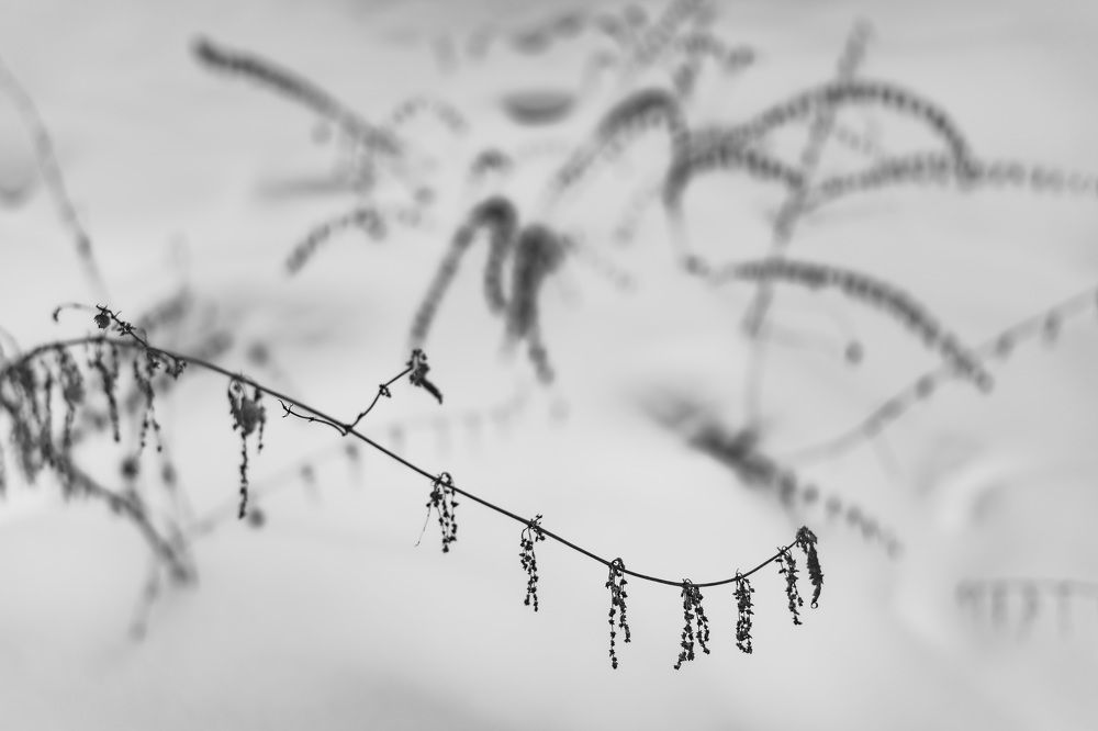 Photograph by Егор Зубанов