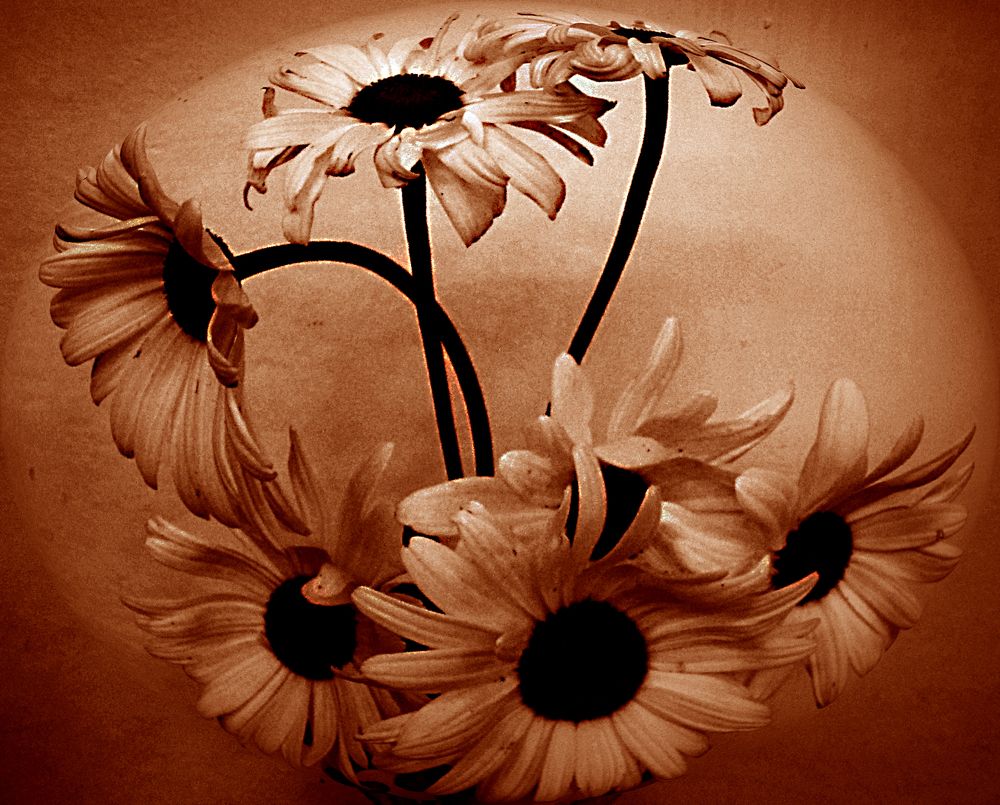 Photograph by Игорь Быков