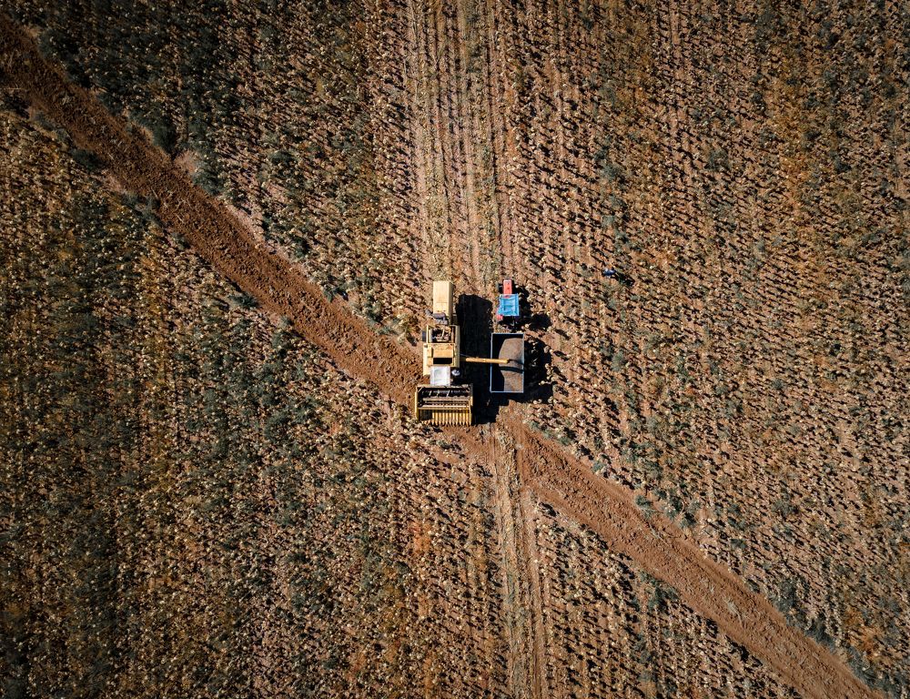 Photograph by Emrah Karakoç