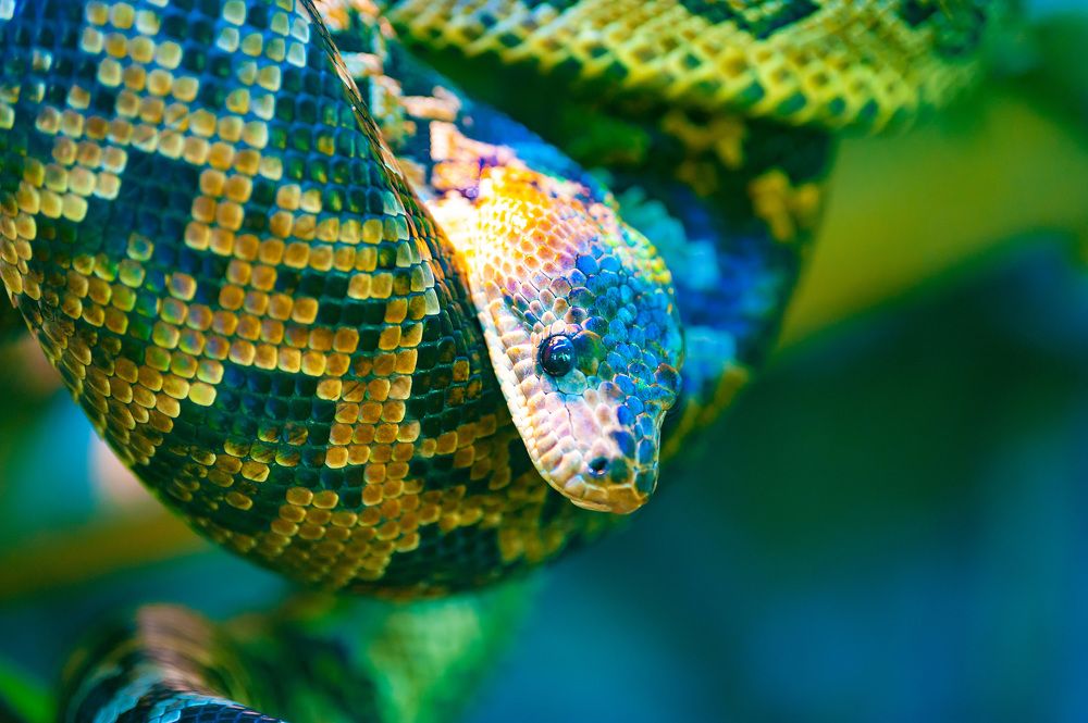 Photograph by Евгений Панов