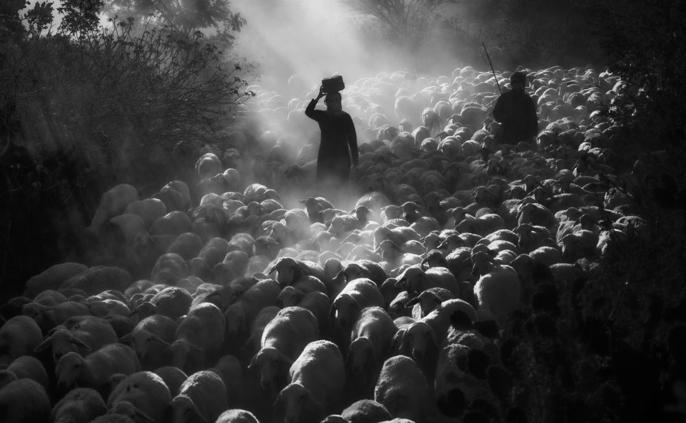 Photograph by Tuấn Nguyễn Tấn