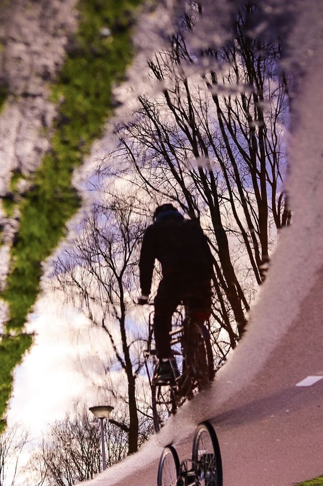 Photograph by Kousar sajadi