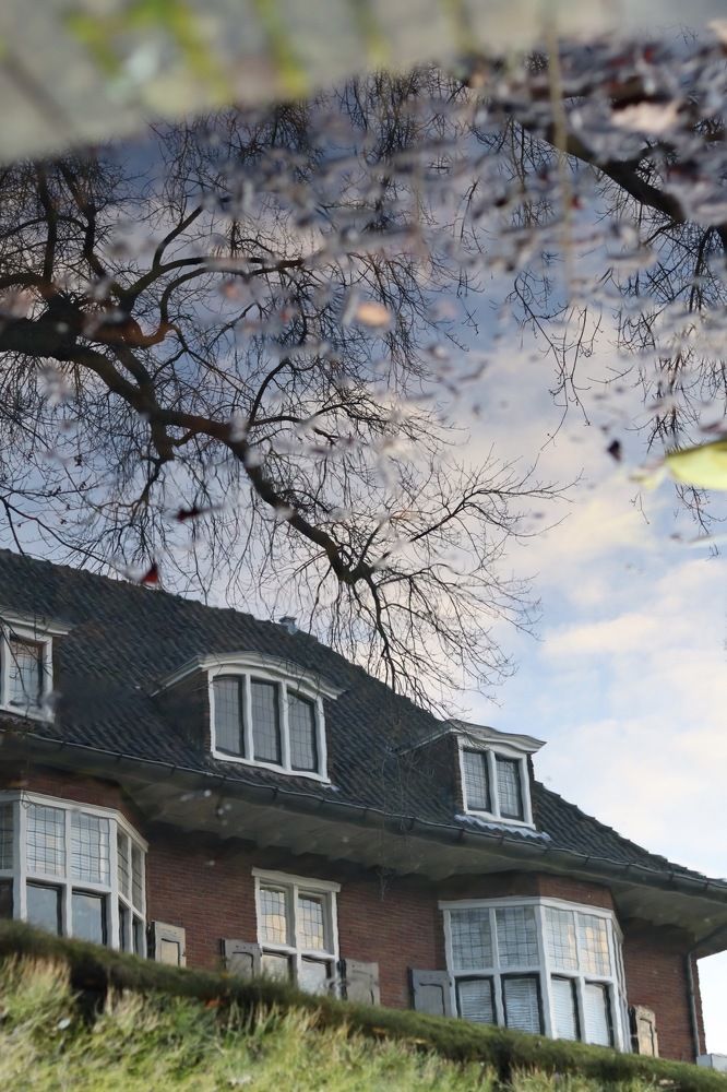 Photograph by Kousar sajadi