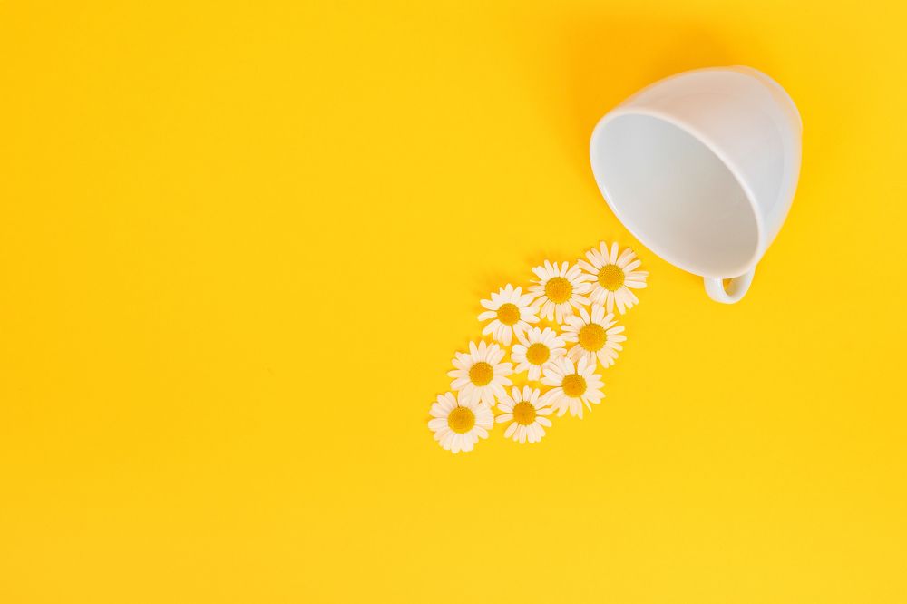 Фотография автора Елена Ельшина