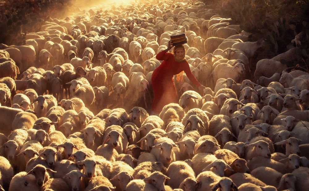 Photograph by Tuấn Nguyễn Tấn